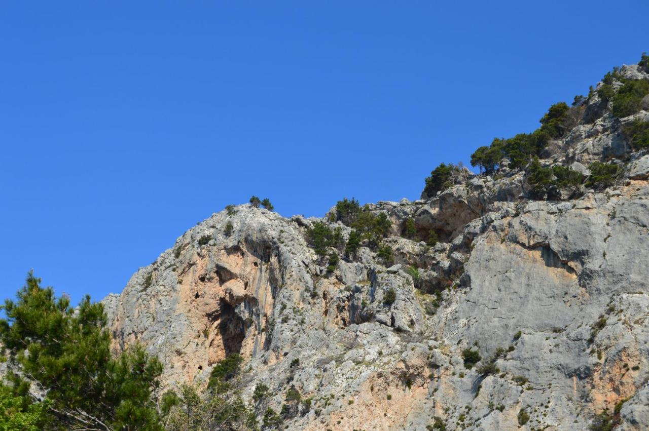 Rooms & Apartments Villa Anka Tučepi Εξωτερικό φωτογραφία