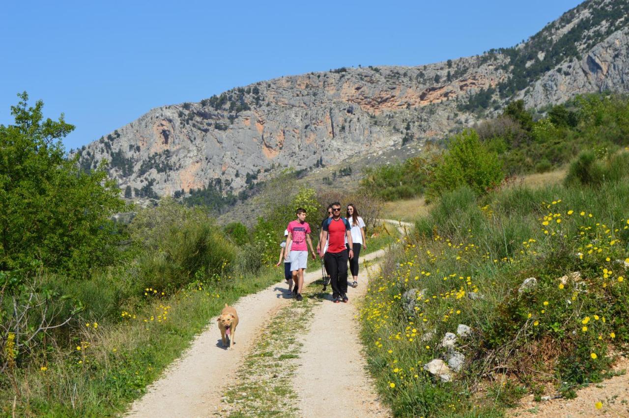 Rooms & Apartments Villa Anka Tučepi Εξωτερικό φωτογραφία