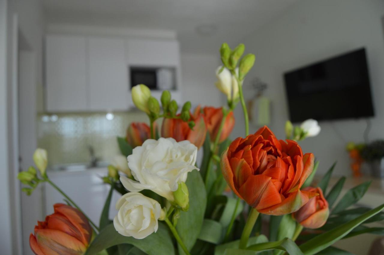 Rooms & Apartments Villa Anka Tučepi Εξωτερικό φωτογραφία